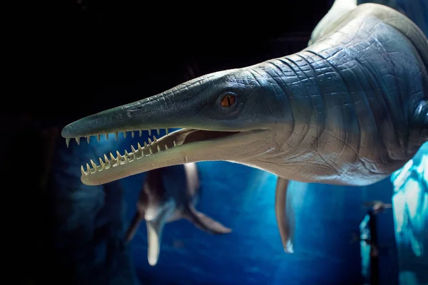 VLADIVOSTOK, RUSSIA - AUGUST 18, 2018: Prehistoric underwater reptiles — Stock Photo, Image