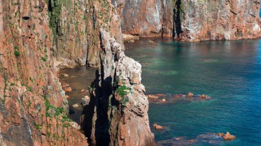 Çam ormanı deniz kenarı güzel Panoraması. Kayalar ve deniz kıyısı