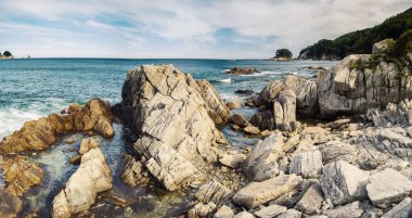 Çam ormanı deniz kenarı güzel Panoraması. Kayalar ve deniz kıyısı
