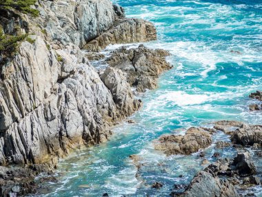Çam ormanı deniz kenarı güzel Panoraması. Kayalar ve deniz kıyısı