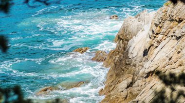 Çam ormanı deniz kenarı güzel Panoraması. Kayalar ve deniz kıyısı