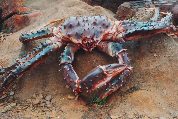 Skulptur av stor krabba, kraftfull klorna — Stockfoto