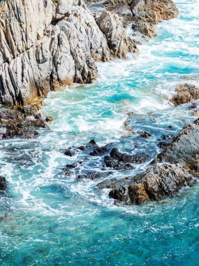 Çam ormanı deniz kenarı güzel Panoraması. Kayalar ve deniz kıyısı