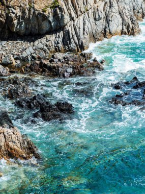 Çam ormanı deniz kenarı güzel Panoraması. Kayalar ve deniz kıyısı