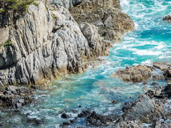 Vacker utsikt över tallskogen på kusten. Stenar och havet — Stockfoto