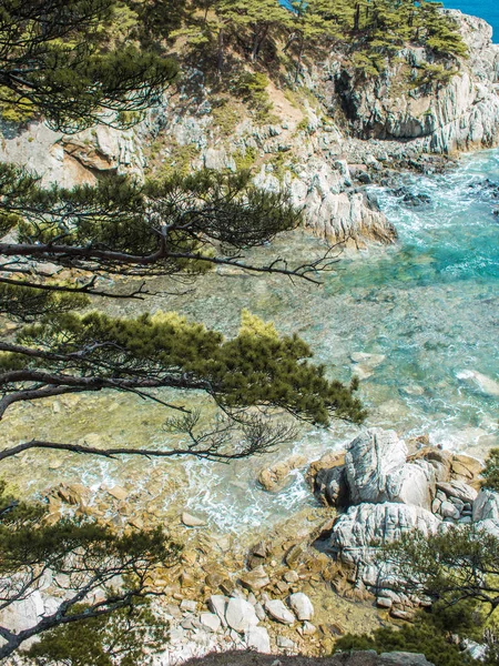 Gyönyörű panorámával a fenyves erdővel a partján. Sziklák és a tengerparton — Stock Fotó
