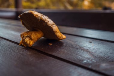 Ahşap bir masa üzerinde mantar. Natürmort, mantar hasat