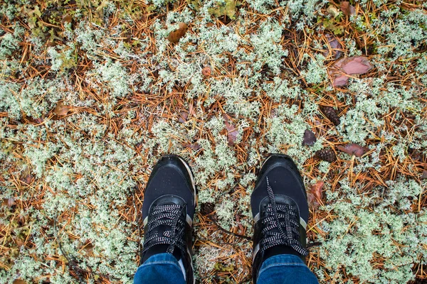 Boswandeling in het najaar. Voeten in sneakers op achtergrond van mossy grond — Stockfoto