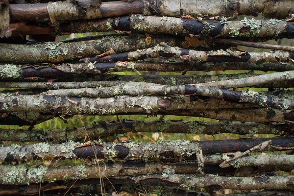 Tekstura pręty ogrodzenia, MECH — Zdjęcie stockowe