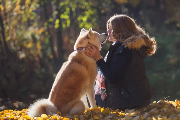 Jovem mulher em um passeio com sua raça de cães Akita inu — Fotografia de Stock