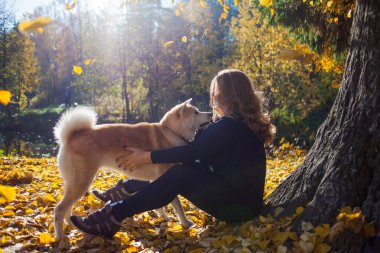 Genç kadın bir yürüyüş ile onun köpek doğurmak Akita Inu