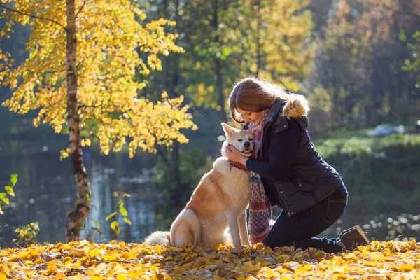 Junge Frau bei einem Spaziergang mit ihrer Hunderasse akita inu — Stockfoto