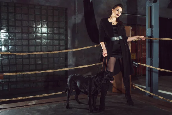 Elegante e sexy donna in nero con Labrador nero . — Foto Stock