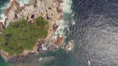 Deniz manzara ile iğne yapraklı orman