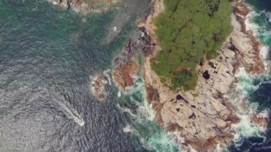 Kayalık sahil güzel manzarasına. Deniz manzara ile iğne yapraklı orman. drone görünümü