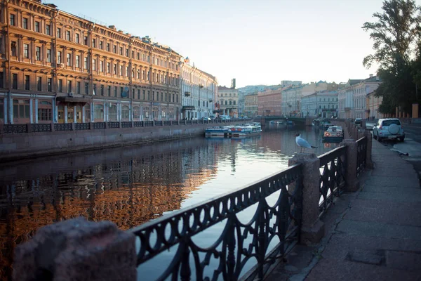 Canal fluvial con la altísima Seagullin de San Petersburgo. Primavera — Foto de Stock