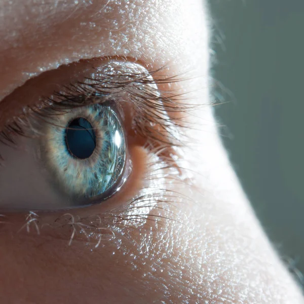 Olho humano de perto. Macro foto do olho feminino azul . — Fotografia de Stock