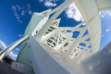Valencia, İspanya - 3 Kasım 2010: Şehir sanatları ve Bilimleri, Santiago Calatrava mimar. Modern fütüristik mimarisi, 