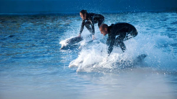 VALENCIA, ESPAGNE - 3 NOVEMBRE 2010 : Dolphinarium, Dolphin show. Homme et femme chevauchant un dauphin — Photo