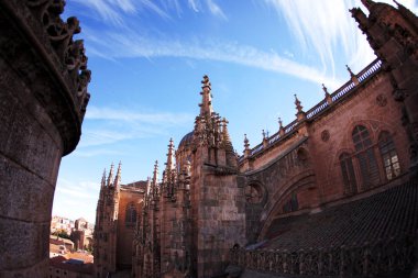 Salamanca şehrinde büyük Katolik katedral kubbe görünümü, 