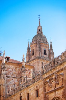 Salamanca şehrinde büyük Katolik katedral kubbe görünümü, 