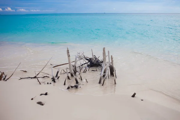 ビーチ。リラクゼーションの風景。砂浜の海岸で木製の流木. — ストック写真