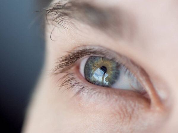 Human eye close-up. Macro photo of blue eye.