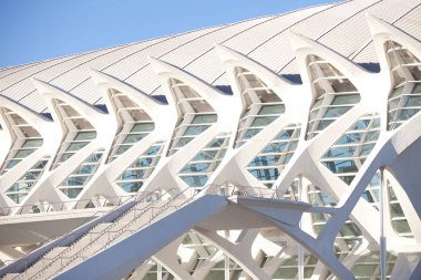 Valencia, İspanya - 3 Kasım 2010: Şehir sanatları ve Bilimleri, Santiago Calatrava mimar. Modern fütüristik mimarisi, 