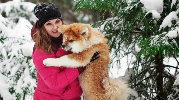 Retrato de un lindo perrito esponjoso. Akita inu con el pelo largo. —  Fotos de Stock