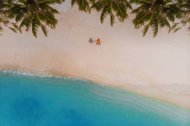 Güzel bir plaj beyaz kum ile palmiyeler ve mavi deniz temizleyin. Sahilde çift