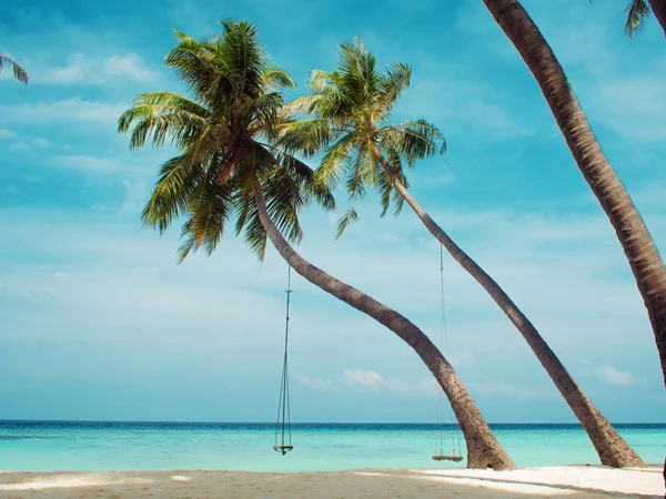 ヤシの木にスイングします。リラックスできる美しい島風景ブランコに乗る少女. — ストック写真