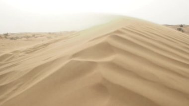 Dune rüzgarda. Çölde kum. Soyut dune arka plan. Dalgalı doku kum.