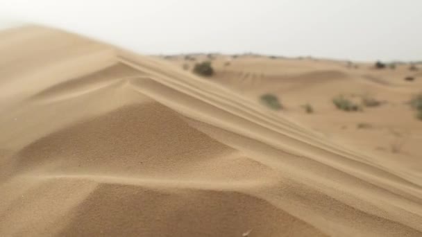 Duna Nel Vento Sabbia Nel Deserto Sfondo Astratto Delle Dune — Video Stock