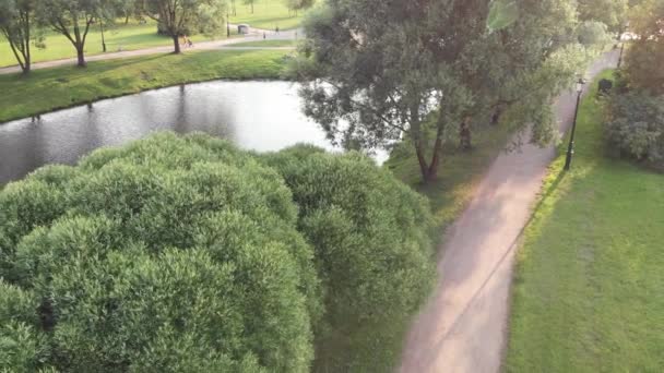 Όμορφη Sunny πάρκο, μονοπάτι ανάμεσα στα δέντρα — Αρχείο Βίντεο