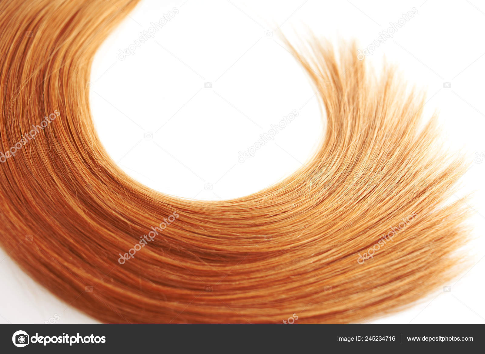 Blonde Hair Isolated On White Background Strand Of Light Or Red