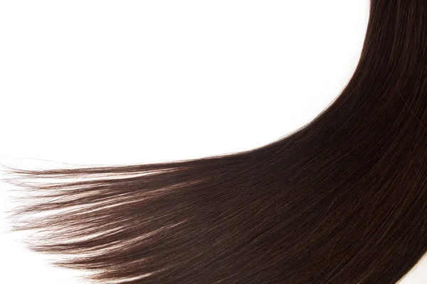 Hebra de cabello moreno aislado en blanco, cabello marrón de lujo en blanco, espacio libre para el texto —  Fotos de Stock