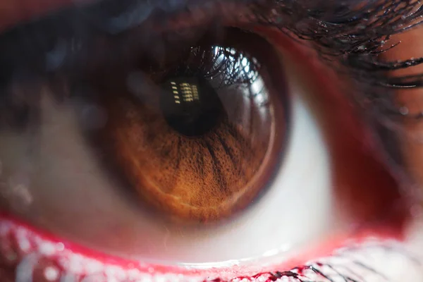 Female eye with makeup, close-up. Bright makeup — Stock Photo, Image