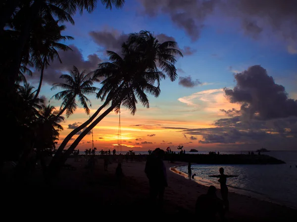 Solnedgång på stranden. Silhuetten av människor och en palmer mot himlen. — Stockfoto