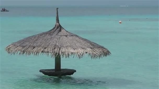 Straw umbrella in the water, free space on the right. Resort on a tropical island — Stock Video