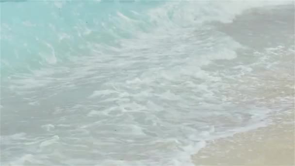 Уединенный остров. Остров Парадизе, белый песок и чистая вода . — стоковое видео
