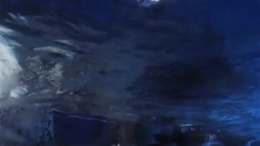 Akvaryumda Penguenler, su altından görünümü.