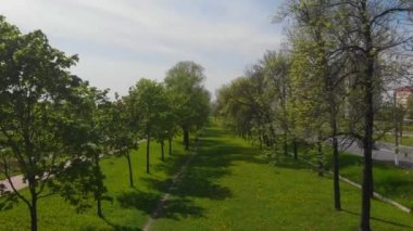 Şehir Park, çim ve ağaçlar, yol önde ağaçlar sokak üst görünümü