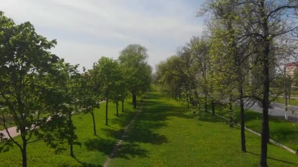 Κορυφαία όψη του στενού των δέντρων στο πάρκο της πόλης, γκαζόν και δέντρα, ο δρόμος μπροστά — Αρχείο Βίντεο