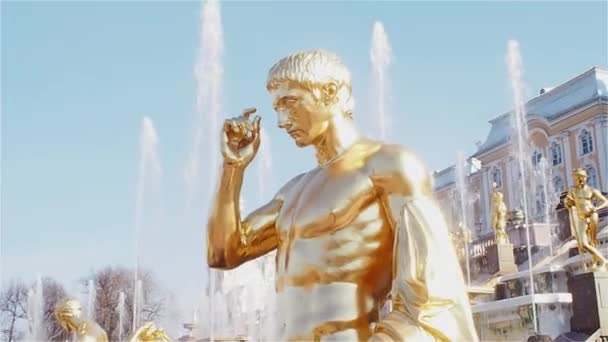 Golden sculptures of the main cascade of fountains in Peterhof, a suburb of St. Petersburg — Stock Video