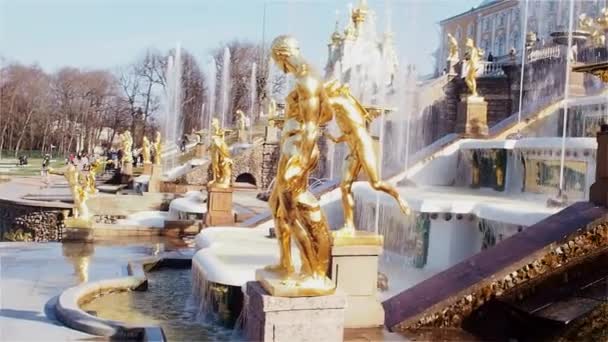 Golden sculptures of the main cascade of fountains in Peterhof, a suburb of St. Petersburg — Stock Video