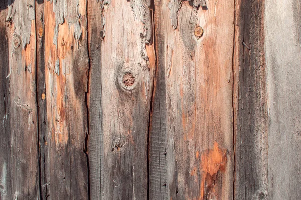 Texture of old wood, close up of wooden boards — Stock Photo, Image