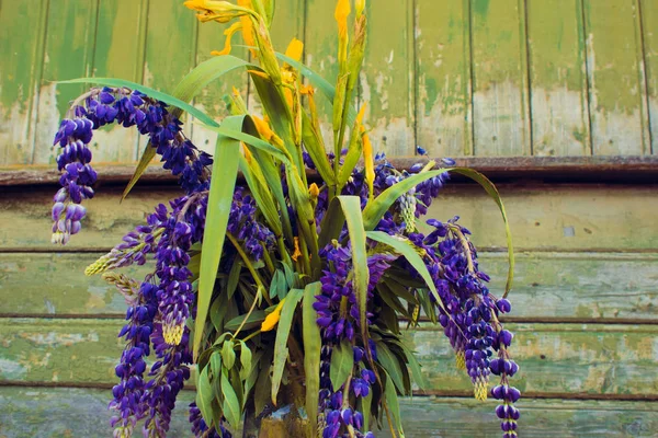 Голубые сухие цветы в вазе, люпины — стоковое фото