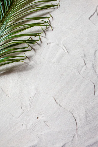 Tropisch strand. Groene Palm blad ligt op het witte fijne zand. Close-up, bovenaanzicht, bureaubladachtergrond. — Stockfoto