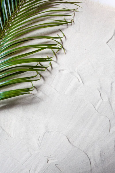 Tropisch strand. Groene Palm blad ligt op het witte fijne zand. Close-up, bovenaanzicht, bureaubladachtergrond. — Stockfoto