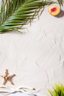 Plaj tatili Bir palmiye yaprağı, denizyıldızı ve beyaz ağaç dalı ve sulu meyveler beyaz kum üzerinde uzanır. Masaüstü duvar kağıdı.